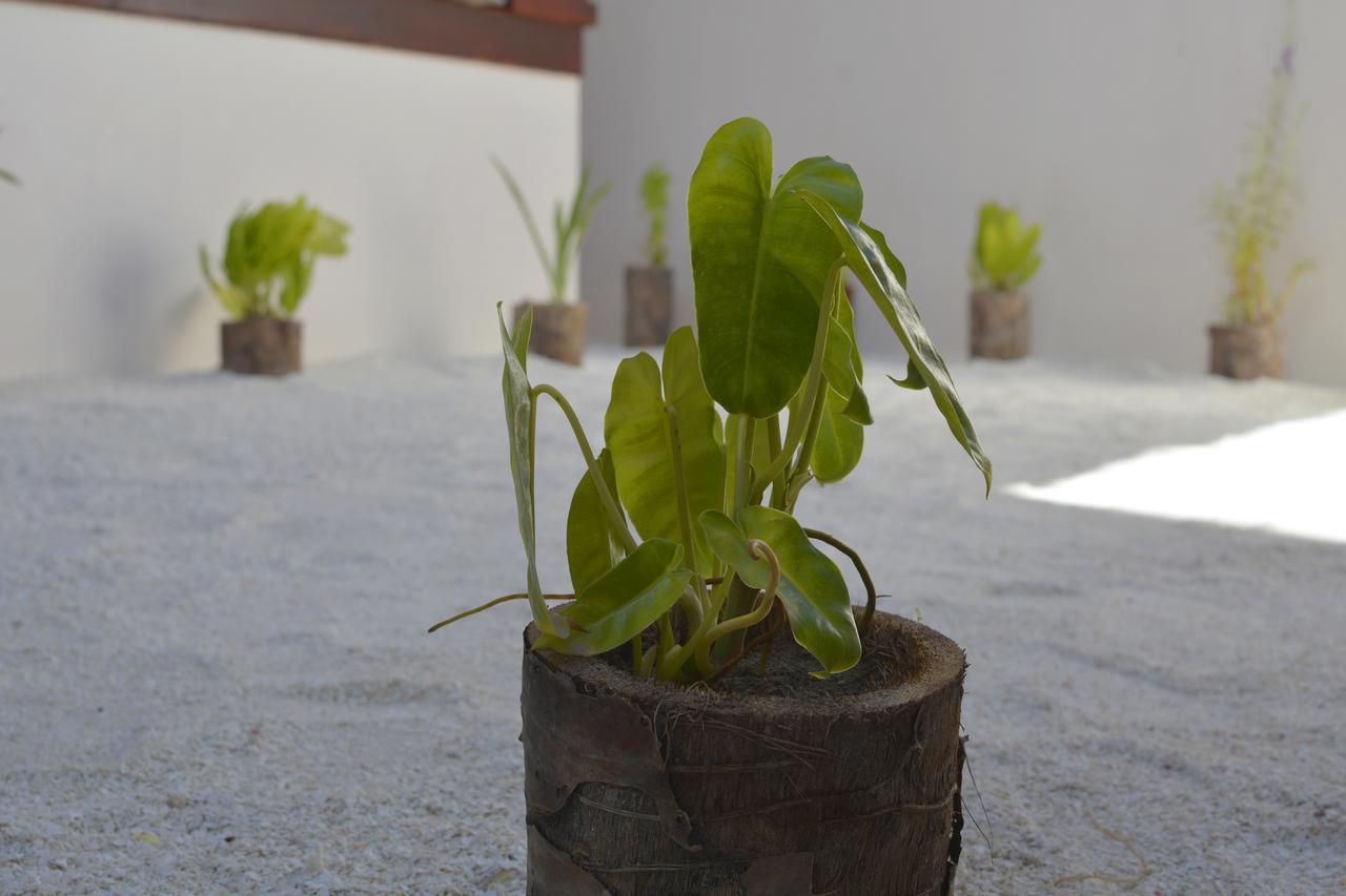 Noomuraka Inn Omadhoo Esterno foto